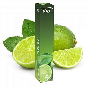 Saltery Maxi Lime